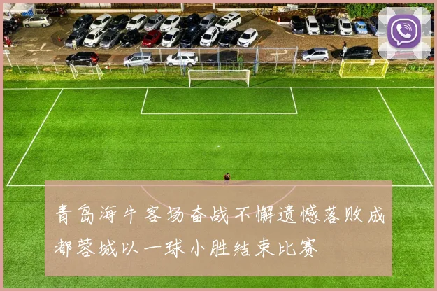 青岛海牛客场奋战不懈遗憾落败成都蓉城以一球小胜结束比赛
