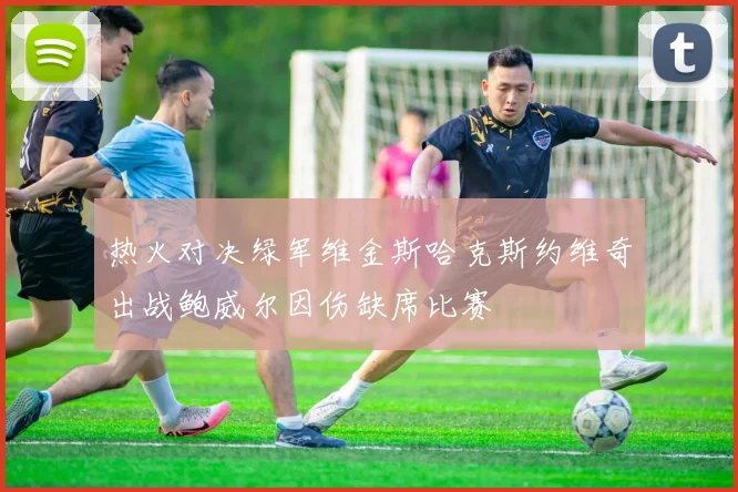 热火对决绿军维金斯哈克斯约维奇出战鲍威尔因伤缺席比赛