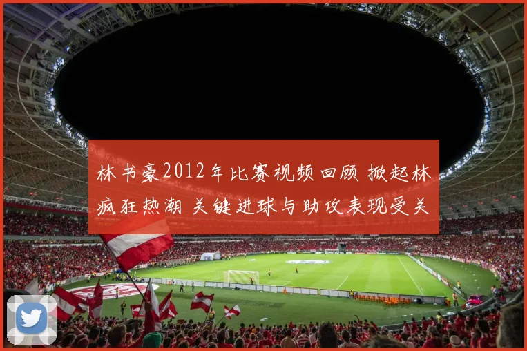 林书豪2012年比赛视频回顾 掀起林疯狂热潮 关键进球与助攻表现受关注